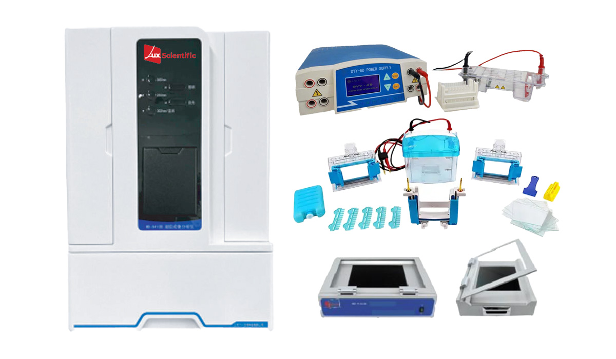 Gel Electrophoresis System