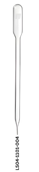 Transfer Pipette
