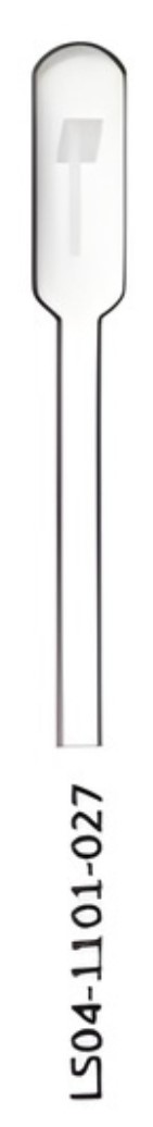 Transfer Pipette