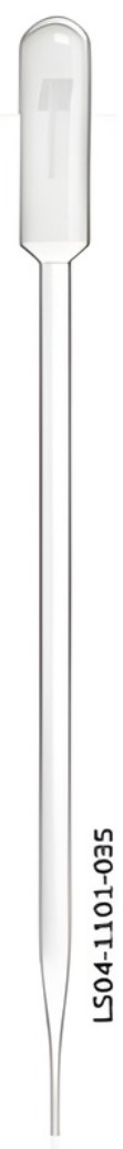 Transfer Pipette