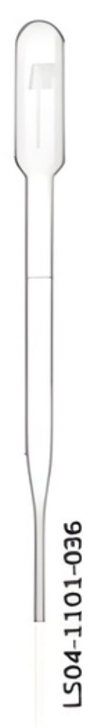 Transfer Pipette