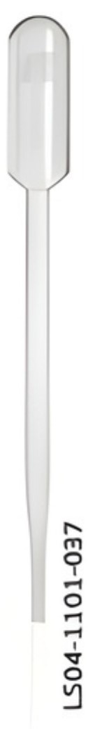 Transfer Pipette