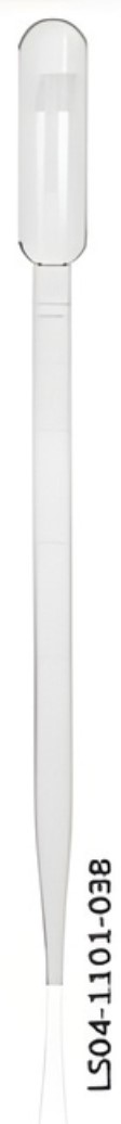 Transfer Pipette