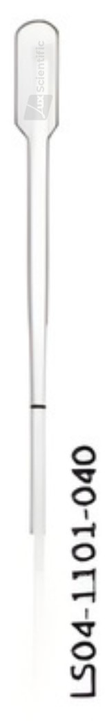Transfer Pipette