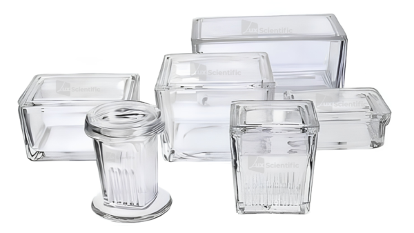 Staining Jar