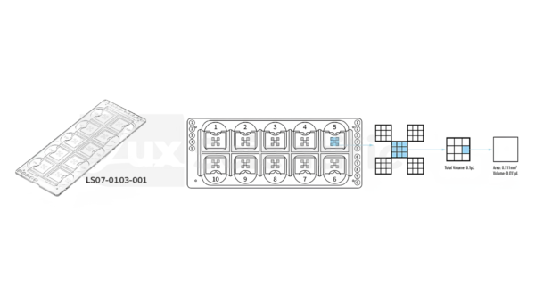 Urinalysis Microscope Slide