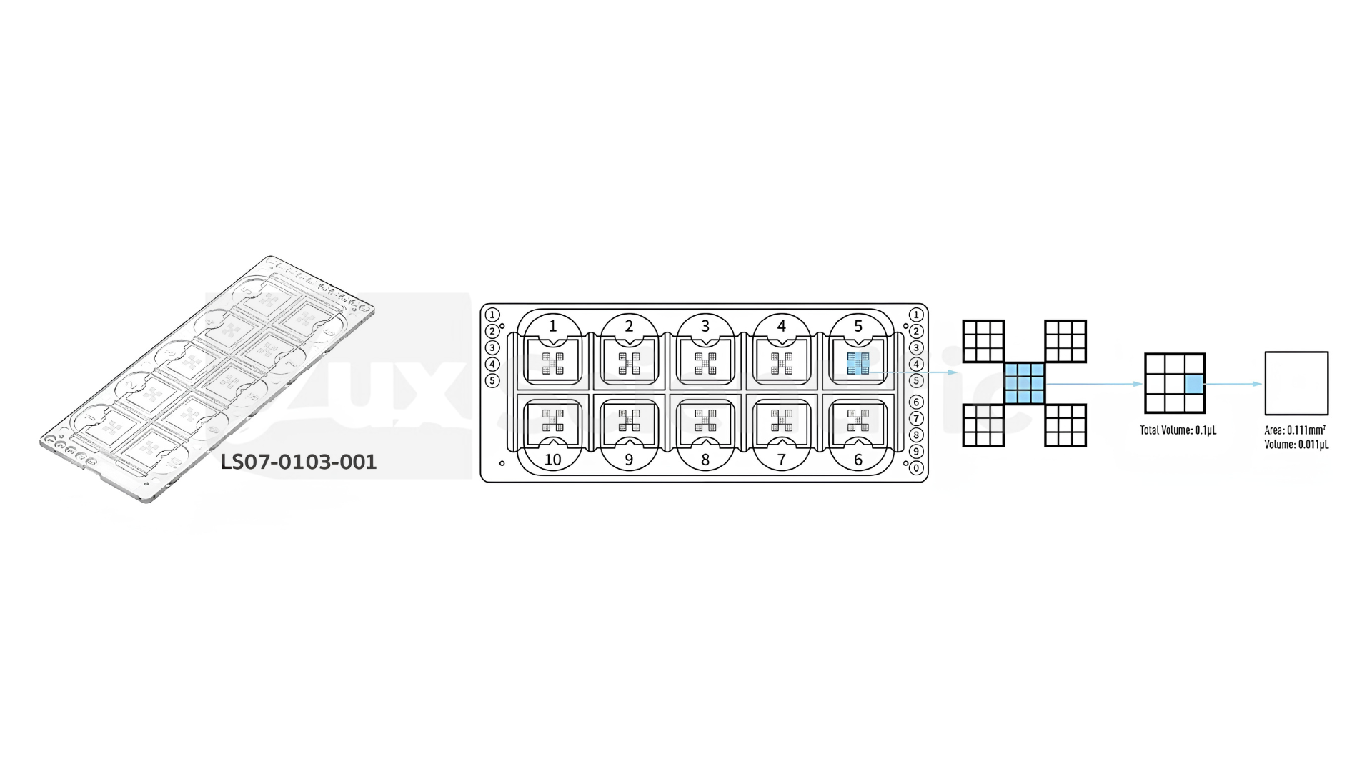 Urinalysis Microscope Slide