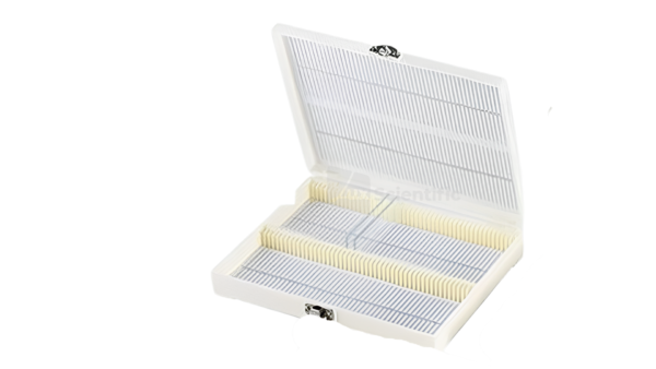 Slide Storage Box