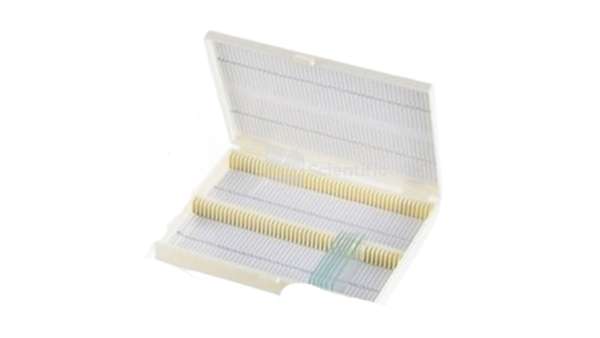 Slide Storage Box