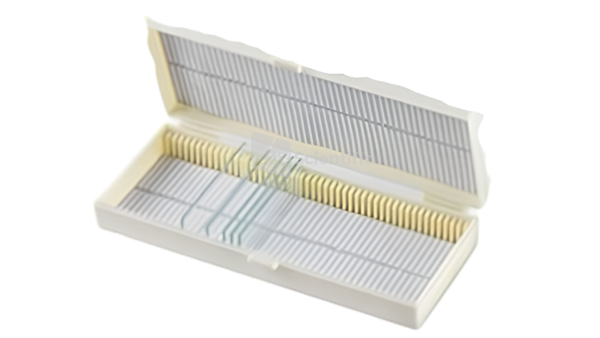 Slide Storage Box