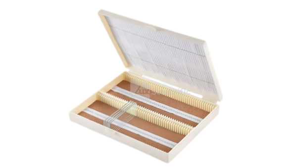 Slide Storage Box โปร 3 แถม 1